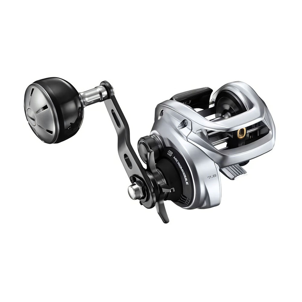 2026 SHIMANO TRANX 400 Baitcas - Daiwa Reel Bg recension och pris